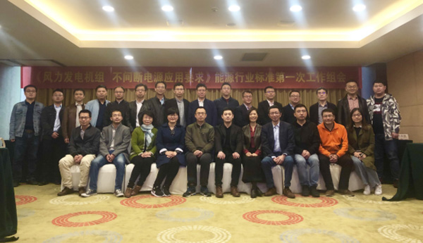 龙八国际风电主持体例的首个能源行业标准启动会在杭召开