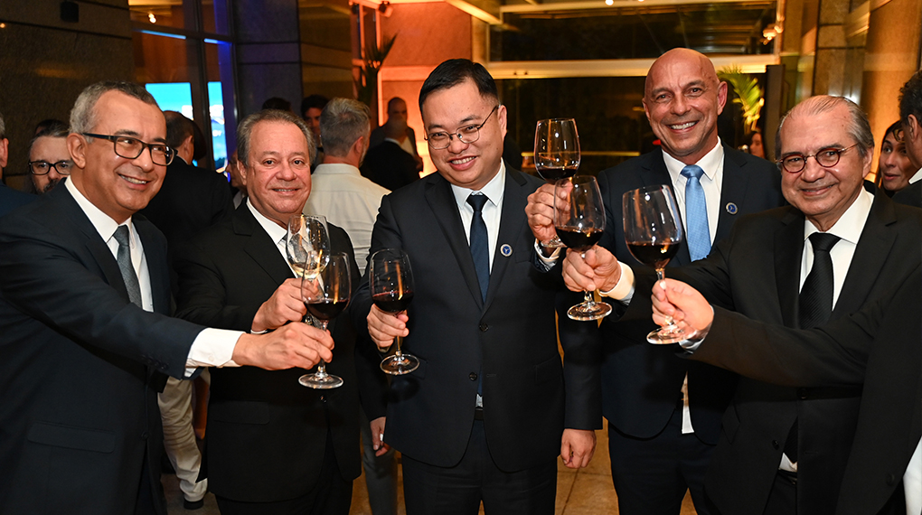 &ldquo;龙八国际之夜&rdquo;点亮圣保罗 中巴绿能相助奏新章